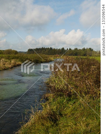 River with a greenish tint and a few trees in the background 131096544