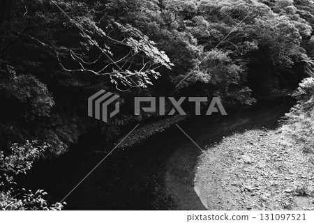Riverside scenery 131097521