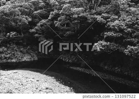 在河岸上的風景 131097522