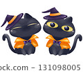 Halloween costumed black cat set 131098005