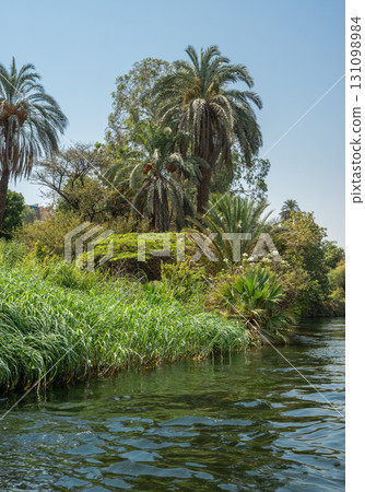 Beautiful View of the Nile River in Luxor, Egypt 131098984