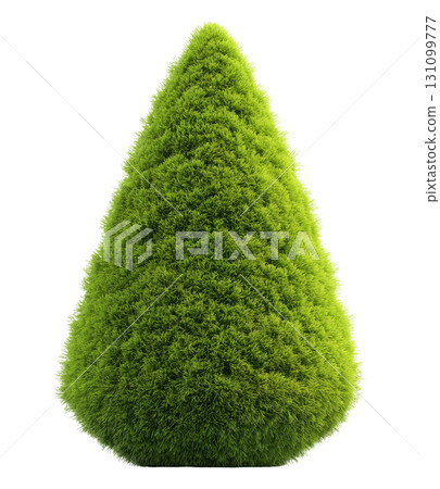 Small cone-shaped evergreen Christmas tree 131099777