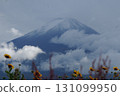 富士山、雲彩和黃色的波斯菊 131099950