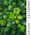 Abstract Forest Background. An aerial view of a dense forest canopy. AI Generated. 131100089