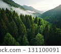 Lush Forest Landscape. Serene Green Nature Background, The Beauty of Forests. AI Generated. 131100091