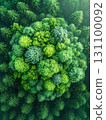 Abstract Forest Background. An aerial view of a dense forest canopy. AI Generated. 131100092