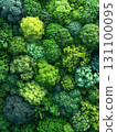 Abstract Forest Background. An aerial view of a dense forest canopy. AI Generated. 131100095