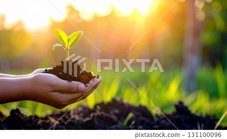 AI image: New sprouts held in hand 131100096