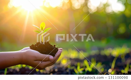 AI image: New sprouts held in hand 131100098