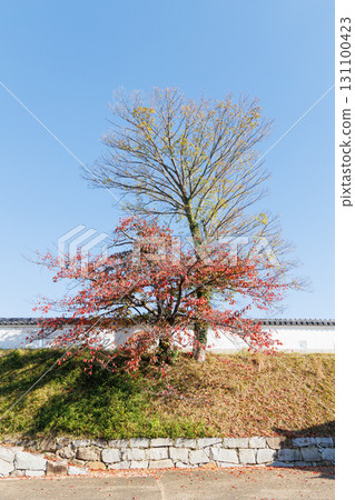 Ako Castle Ruins (inside Ako Castle) Ako Castle Ruins (inside Ako Castle) 131100423