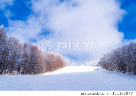 【滑雪場材質】銀色滑雪場與藍天【長野縣】 【滑雪場材質】銀色滑雪場與藍天【長野縣】 131101077