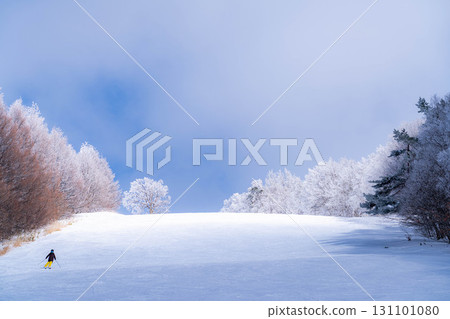 [Slope material] Silver slopes and blue skies [Nagano Prefecture] 131101080