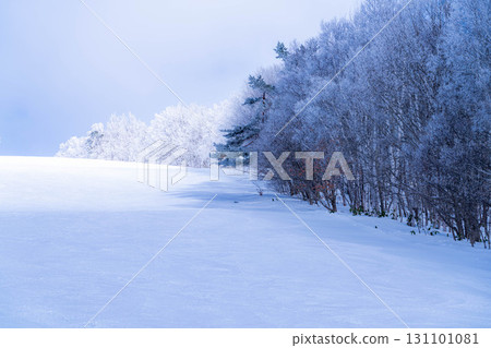 [Slope material] Silver slopes and blue skies [Nagano Prefecture] 131101081