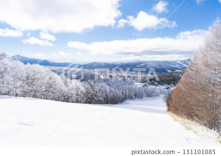 [Slope material] Silver slopes and blue skies [Nagano Prefecture] 131101085