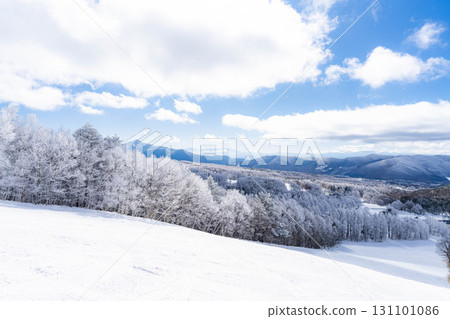 [Slope material] Silver slopes and blue skies [Nagano Prefecture] 131101086