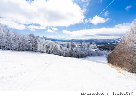 [Slope material] Silver slopes and blue skies [Nagano Prefecture] 131101087
