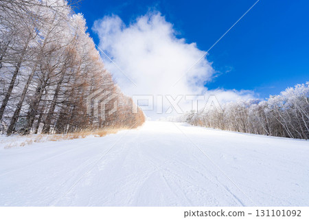 【滑雪場材質】銀色滑雪場與藍天【長野縣】 【滑雪場材質】銀色滑雪場與藍天【長野縣】 131101092