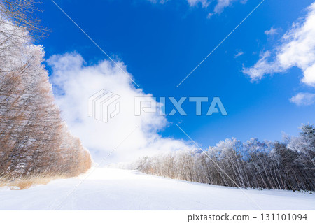 [Slope material] Silver slopes and blue skies [Nagano Prefecture] 131101094