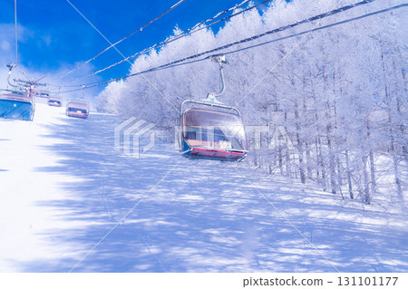 [冬季素材]滑雪場纜車和藍天[長野縣] 131101177