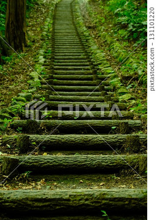 Mossy stone steps Mossy stone steps 131101220