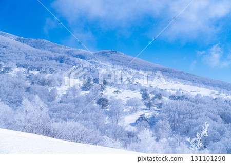 [Winter material] Silvery frost landscape [Nagano Prefecture] 131101290