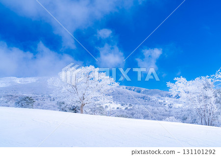 [Winter material] Silvery frost landscape [Nagano Prefecture] 131101292