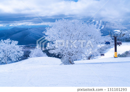 [Winter material] Silvery frost landscape [Nagano Prefecture] 131101293