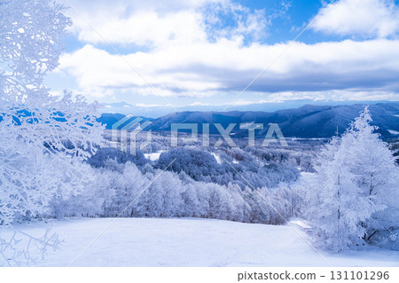 [冬季素材]銀霜風景[長野縣] 131101296