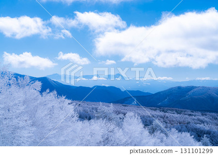 [Winter material] Silvery frost landscape [Nagano Prefecture] 131101299
