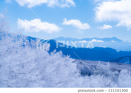 [冬季素材]銀霜風景[長野縣] 131101300