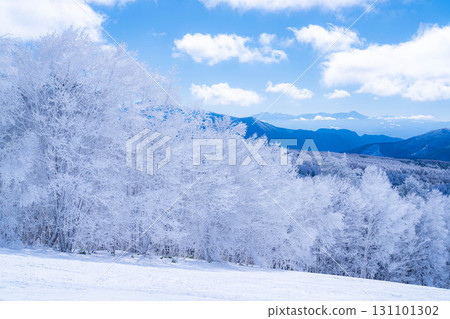 [冬季素材]銀霜風景[長野縣] 131101302