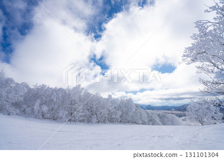 [Winter material] Silvery frost landscape [Nagano Prefecture] 131101304