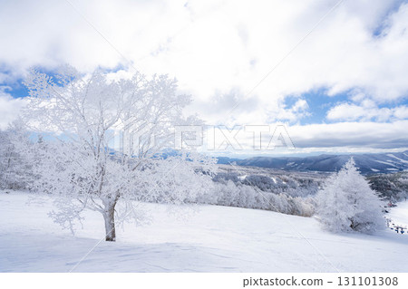 [冬季素材]銀霜風景[長野縣] 131101308
