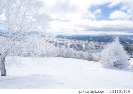 [Winter material] Silvery frost landscape [Nagano Prefecture] 131101309