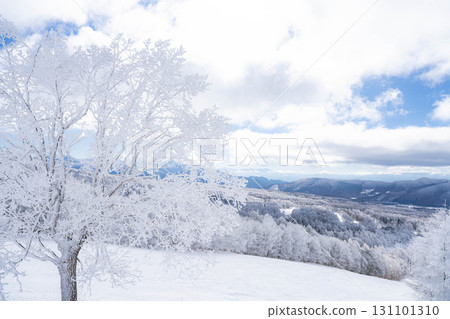 [冬季素材]銀霜風景[長野縣] 131101310