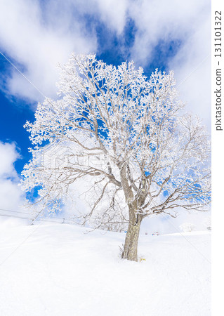 [Winter material] Silvery frost landscape [Nagano Prefecture] 131101322