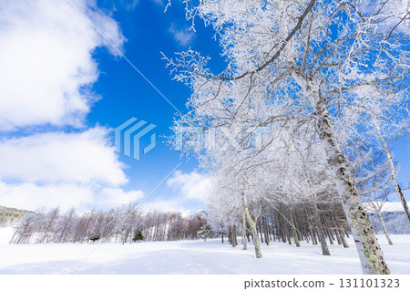[Winter material] Silvery frost landscape [Nagano Prefecture] 131101323