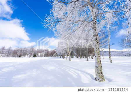 [Winter material] Silvery frost landscape [Nagano Prefecture] 131101324