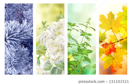 Set of nature banners depicting natural world. Four season of year. Each one features scene of nature, from snow of winter to vibrant leaves of fall. Perfect for showcasing of changing seasons Set of nature banners depicting natural world. Four season of year. Each one features scene of nature, from snow of winter to vibrant leaves of fall. Perfect for showcasing of changing seasons 131101521