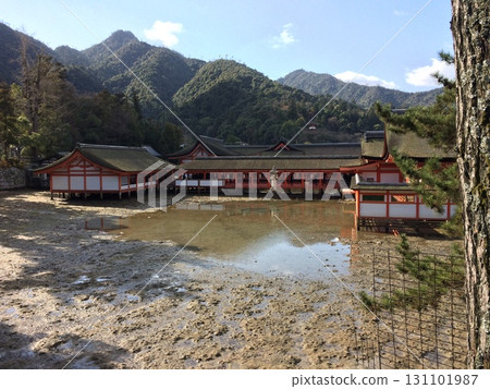 Itsukushima Shrine at low tide Itsukushima Shrine at low tide 131101987