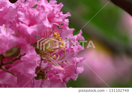 盛夏閃耀在蔚藍的天空 盛夏閃耀在蔚藍的天空 131102749