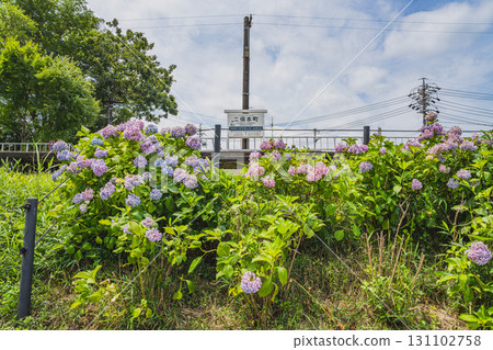 濱松市（靜岡縣）天龍濱名湖鐵道二又本町站的景色 131102758