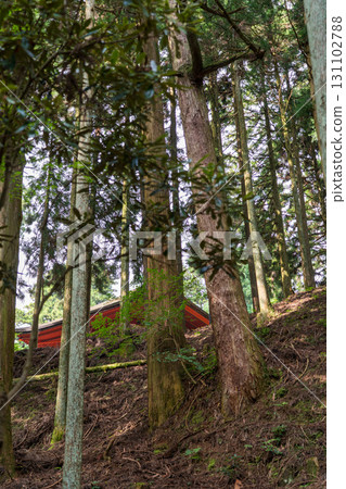 Hiezan Enryakuji 131102788