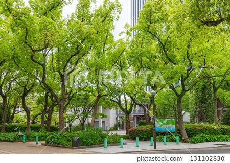 神戶市中央區的新綠東遊園地公園 神戶市中央區的新綠東遊園地公園 131102830