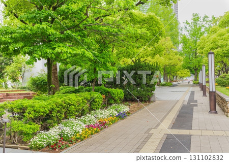 Fresh green Higashi Yuenchi Park in Chuo Ward, Kobe City 131102832