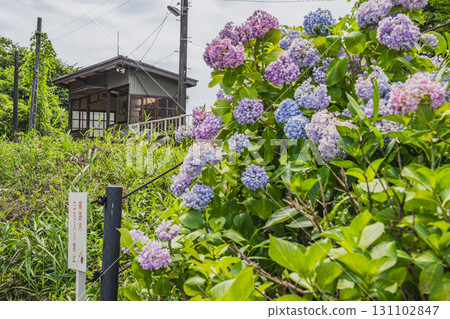 A view of Futamatahonmachi Station on the Tenryu Hamanako Railway in Hamamatsu City (Shizuoka Prefecture) 131102847