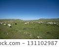 Mongolia: Vast grasslands, blue skies and sheep 131102987