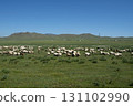 Mongolia: Vast grasslands, blue skies and sheep 131102990