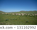 Mongolia: Vast grasslands, blue skies and sheep 131102992