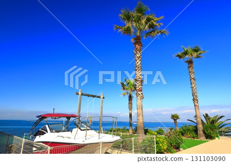 [兵庫縣]淡路台的晴空（海角鞦韆） 131103090